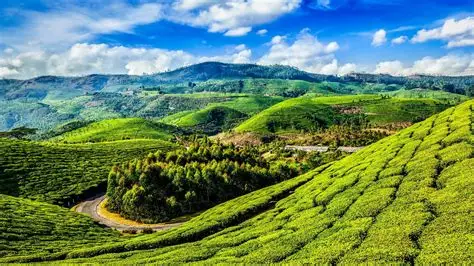 Munnar – A Green Paradise in Kerala